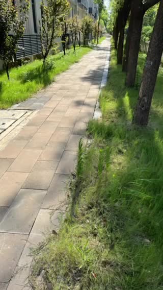 江汉大学中央空调项目